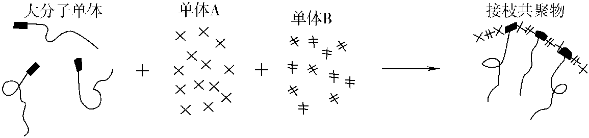 4.4.3 增容剂的制备